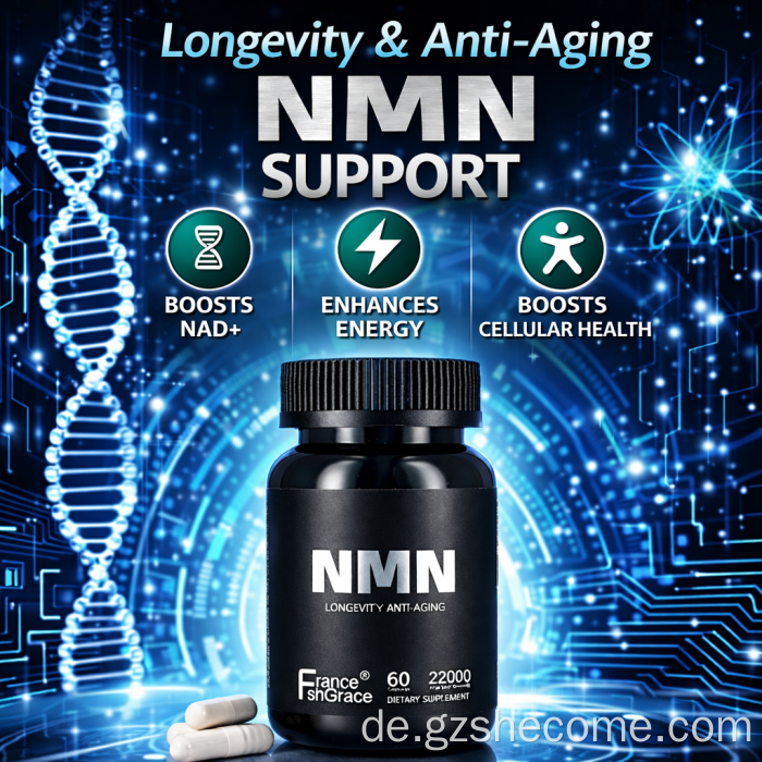 Bestes NNM-Anti-Aging-Ergänzungsmittel für die Herz-Gehirn-Gesundheit
